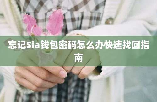 忘记Sia钱包密码怎么办快速找回指南