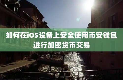 如何在iOS设备上安全使用币安钱包进行加密货币交易