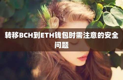 转移BCH到ETH钱包时需注意的安全问题