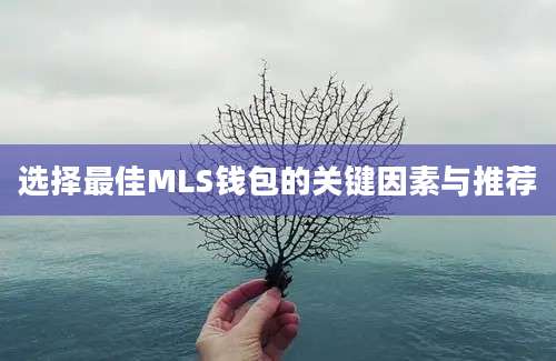 选择最佳MLS钱包的关键因素与推荐