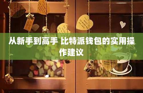 从新手到高手 比特派钱包的实用操作建议