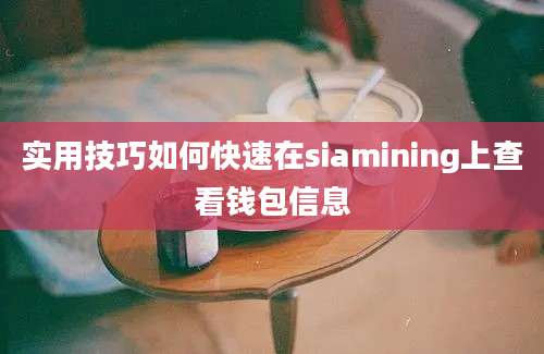 实用技巧如何快速在siamining上查看钱包信息