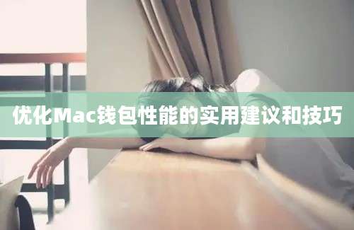 优化Mac钱包性能的实用建议和技巧