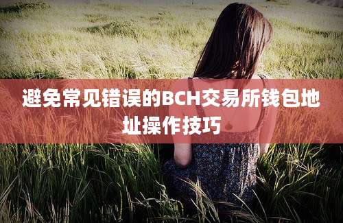 避免常见错误的BCH交易所钱包地址操作技巧