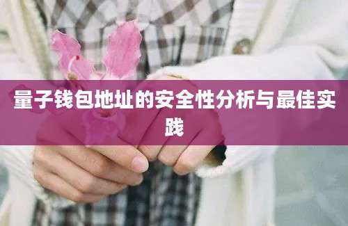 量子钱包地址的安全性分析与最佳实践