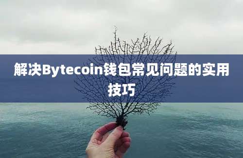 解决Bytecoin钱包常见问题的实用技巧