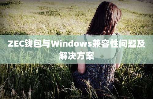 ZEC钱包与Windows兼容性问题及解决方案