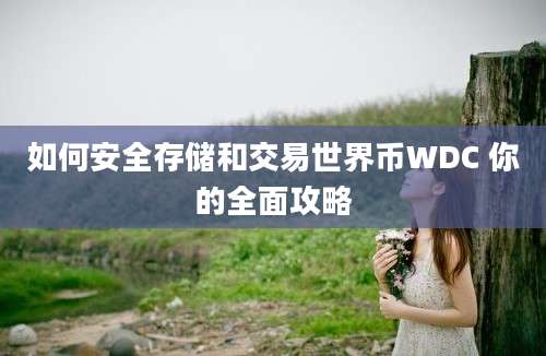 如何安全存储和交易世界币WDC 你的全面攻略