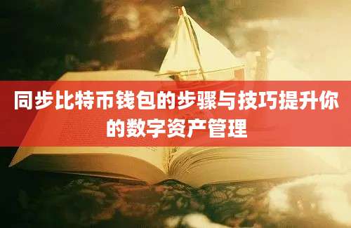 同步比特币钱包的步骤与技巧提升你的数字资产管理