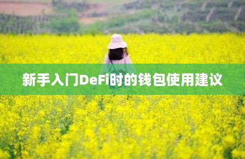 新手入门DeFi时的钱包使用建议