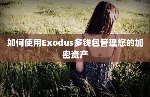 如何使用Exodus多钱包管理您的加密资产