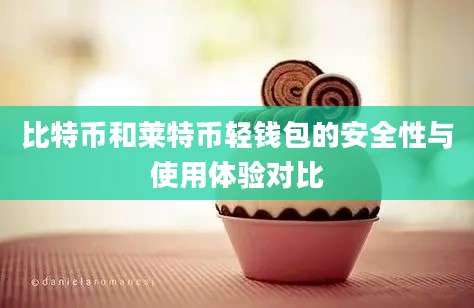 比特币和莱特币轻钱包的安全性与使用体验对比