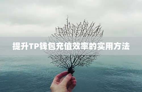 提升TP钱包充值效率的实用方法