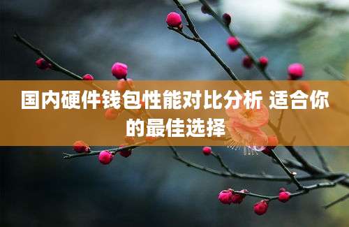 国内硬件钱包性能对比分析 适合你的最佳选择