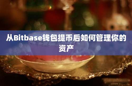 从Bitbase钱包提币后如何管理你的资产