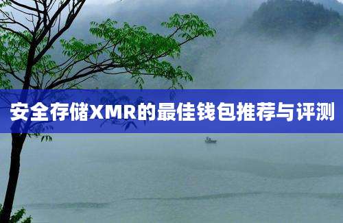 安全存储XMR的最佳钱包推荐与评测