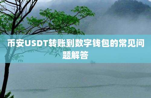 币安USDT转账到数字钱包的常见问题解答