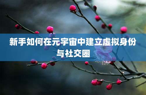 新手如何在元宇宙中建立虚拟身份与社交圈