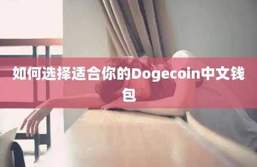 如何选择适合你的Dogecoin中文钱包