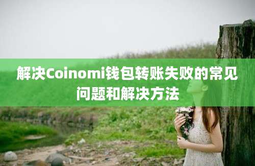 解决Coinomi钱包转账失败的常见问题和解决方法