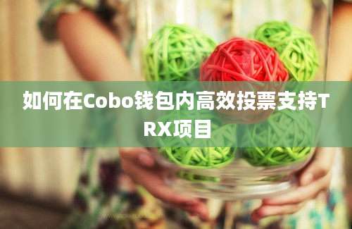 如何在Cobo钱包内高效投票支持TRX项目