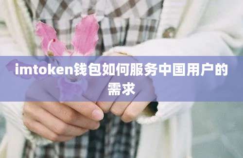 imtoken钱包如何服务中国用户的需求