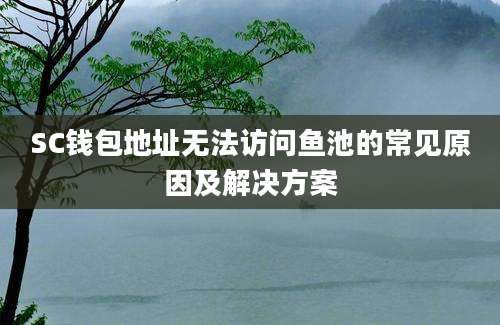 SC钱包地址无法访问鱼池的常见原因及解决方案