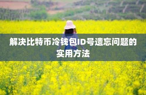 解决比特币冷钱包ID号遗忘问题的实用方法