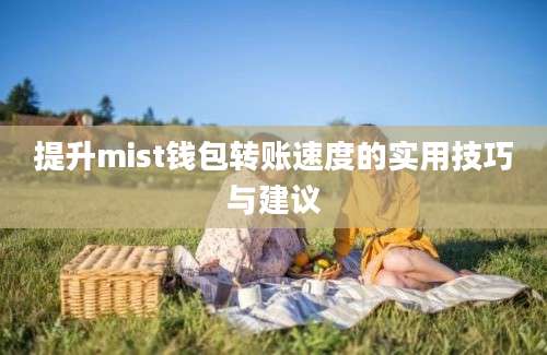 提升mist钱包转账速度的实用技巧与建议