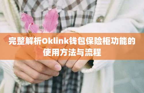 完整解析Oklink钱包保险柜功能的使用方法与流程