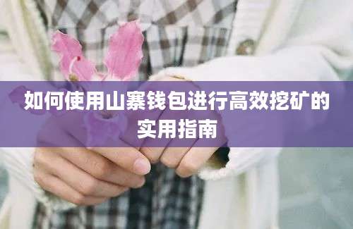 如何使用山寨钱包进行高效挖矿的实用指南