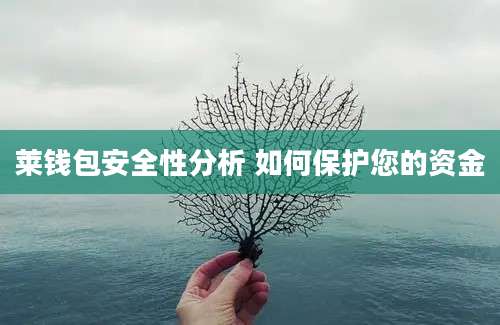 莱钱包安全性分析 如何保护您的资金