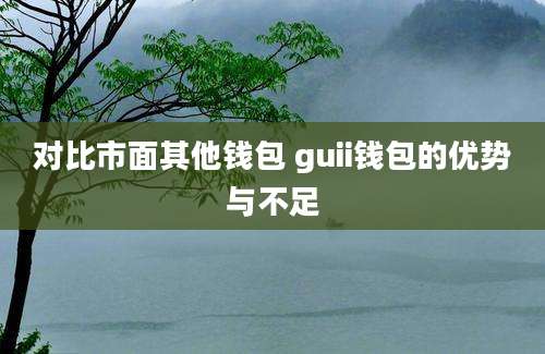 对比市面其他钱包 guii钱包的优势与不足