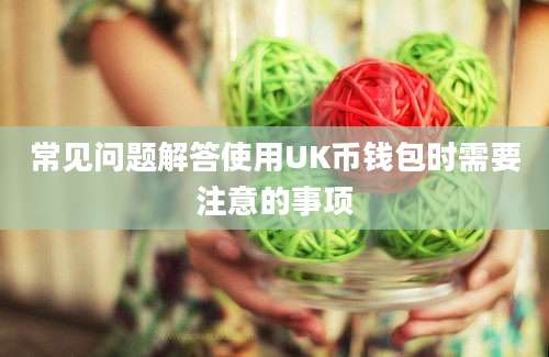 常见问题解答使用UK币钱包时需要注意的事项