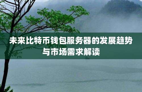 未来比特币钱包服务器的发展趋势与市场需求解读