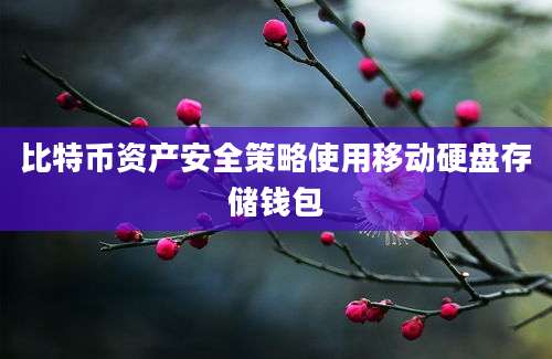 比特币资产安全策略使用移动硬盘存储钱包