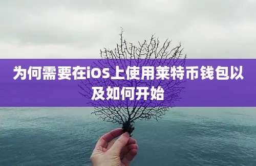 为何需要在iOS上使用莱特币钱包以及如何开始