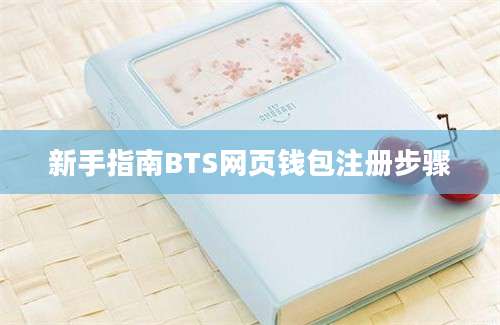 新手指南BTS网页钱包注册步骤