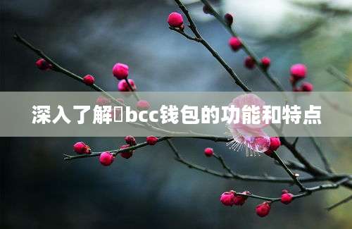 深入了解乥bcc钱包的功能和特点