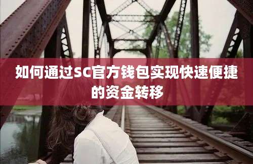 如何通过SC官方钱包实现快速便捷的资金转移