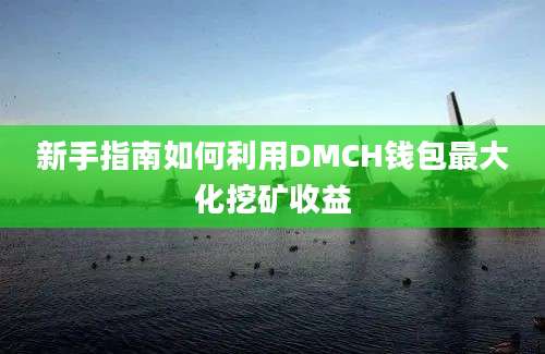 新手指南如何利用DMCH钱包最大化挖矿收益