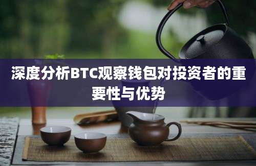 深度分析BTC观察钱包对投资者的重要性与优势