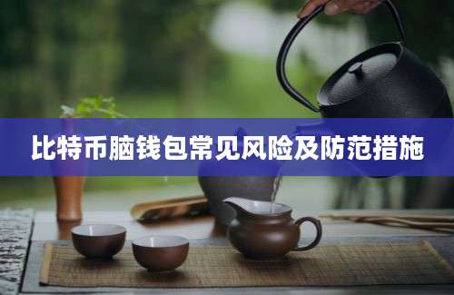 比特币脑钱包常见风险及防范措施