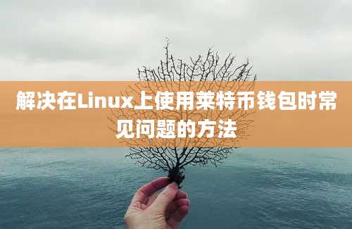 解决在Linux上使用莱特币钱包时常见问题的方法