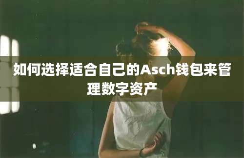 如何选择适合自己的Asch钱包来管理数字资产