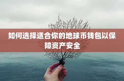 如何选择适合你的地球币钱包以保障资产安全