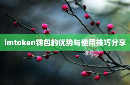 imtoken钱包的优势与使用技巧分享