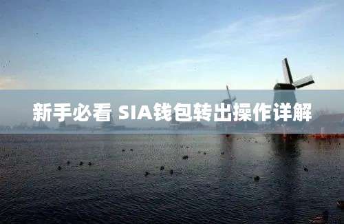 新手必看 SIA钱包转出操作详解