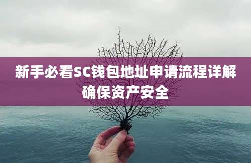 新手必看SC钱包地址申请流程详解确保资产安全