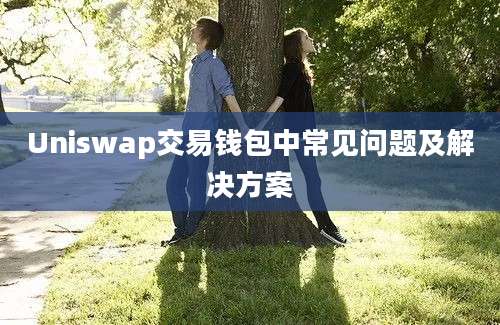 Uniswap交易钱包中常见问题及解决方案